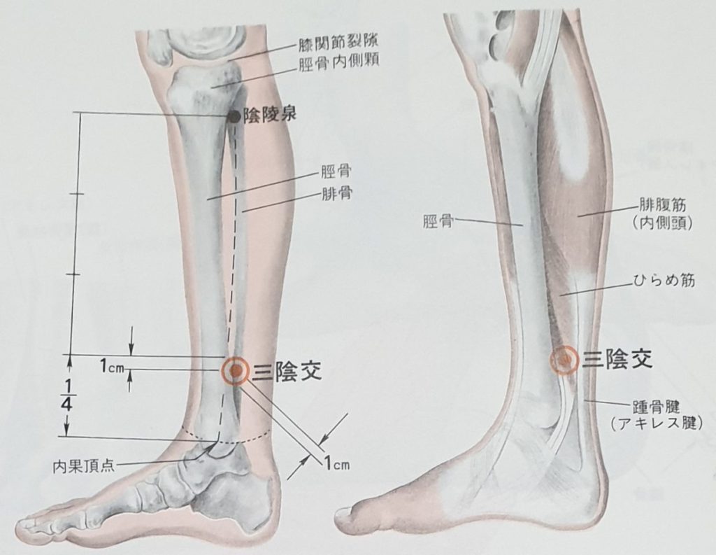 SP6 acupuncture point