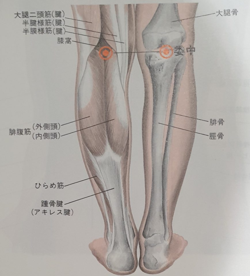 BL40 acupuncture point